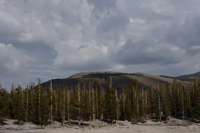 DSC_3012 (Large).JPG